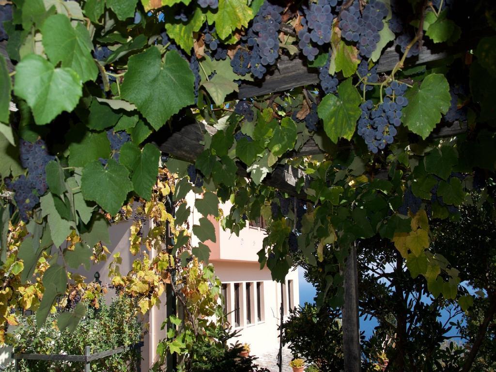 Villa Aglaini Áyios Dhimítrios Exteriör bild