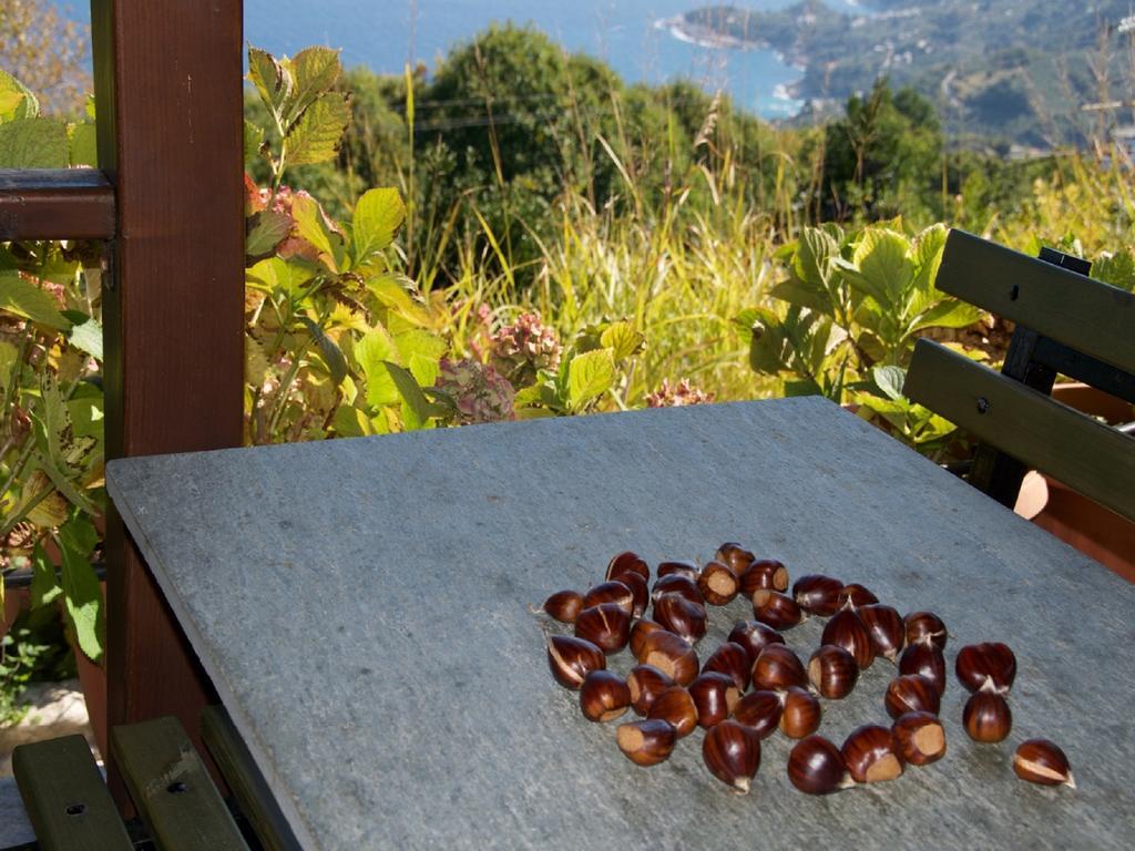 Villa Aglaini Áyios Dhimítrios Exteriör bild