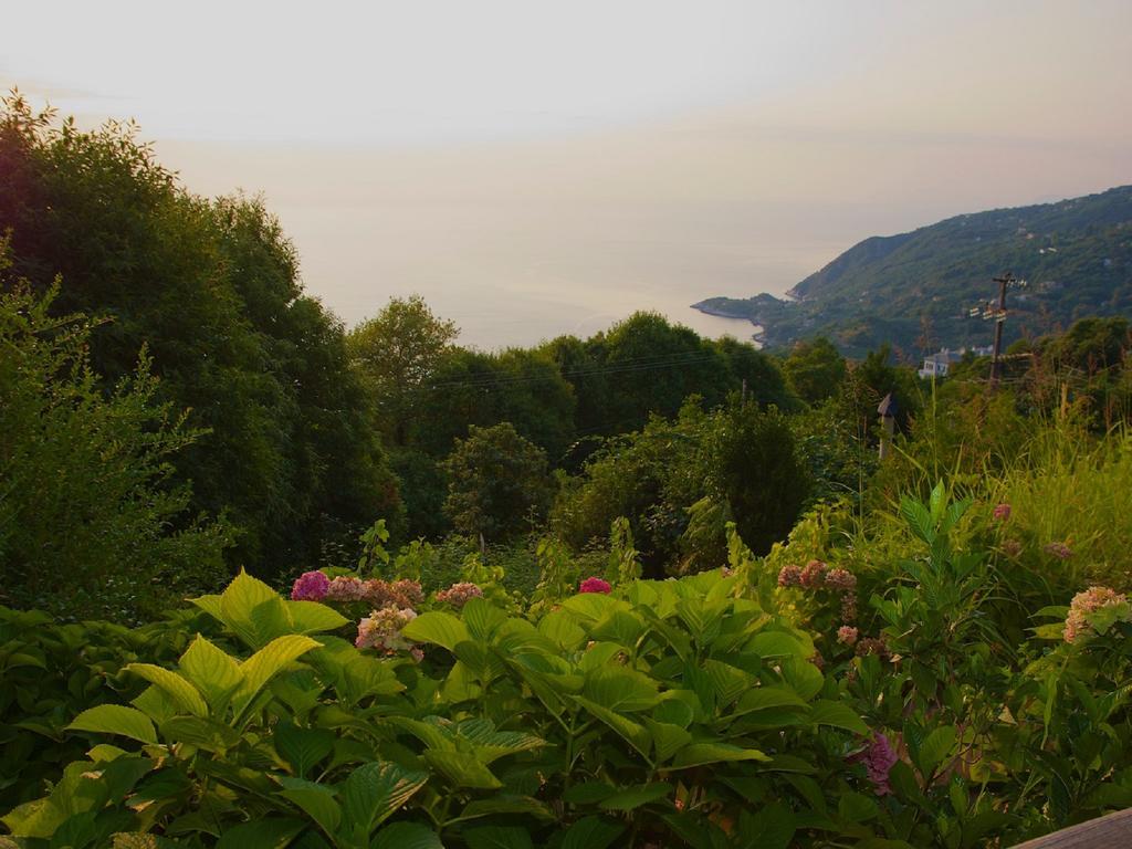 Villa Aglaini Áyios Dhimítrios Exteriör bild