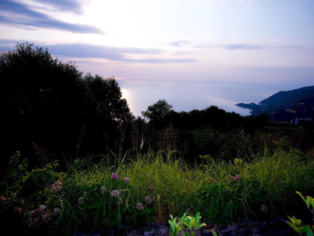 Villa Aglaini Áyios Dhimítrios Exteriör bild
